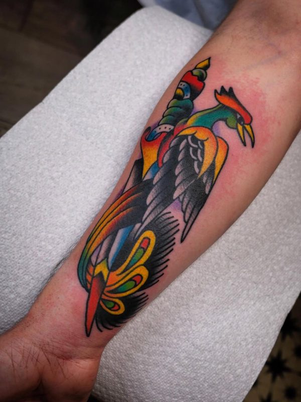 Colorful Bird