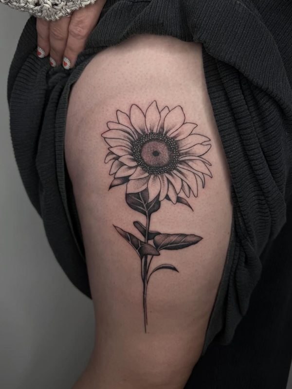 Sunflower Dotwork