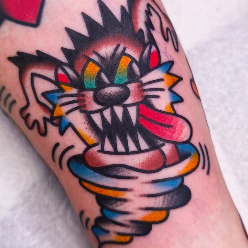 Colorful Tornado Cat