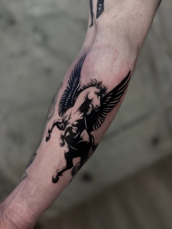 Black Pegasus