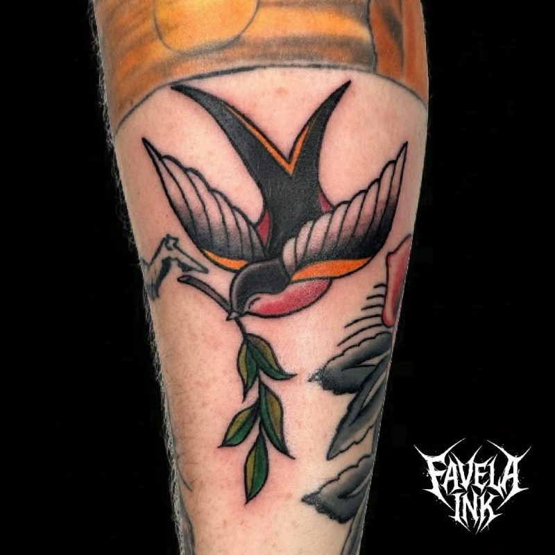 Traditional Swallow