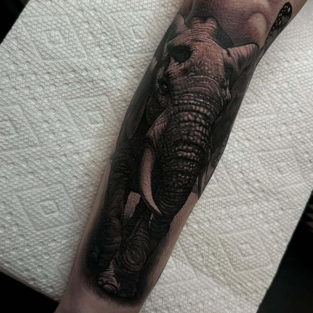 Realistic Elephant