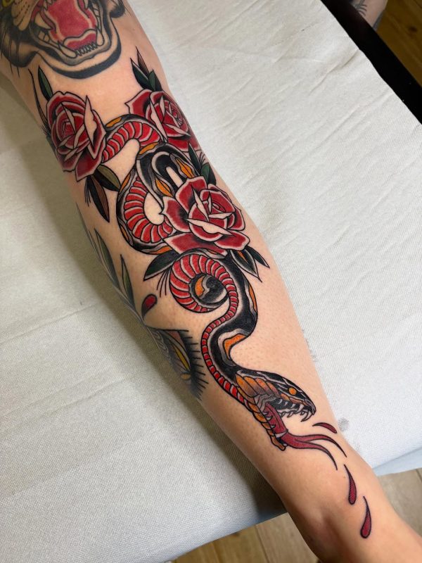 Snake and Roses