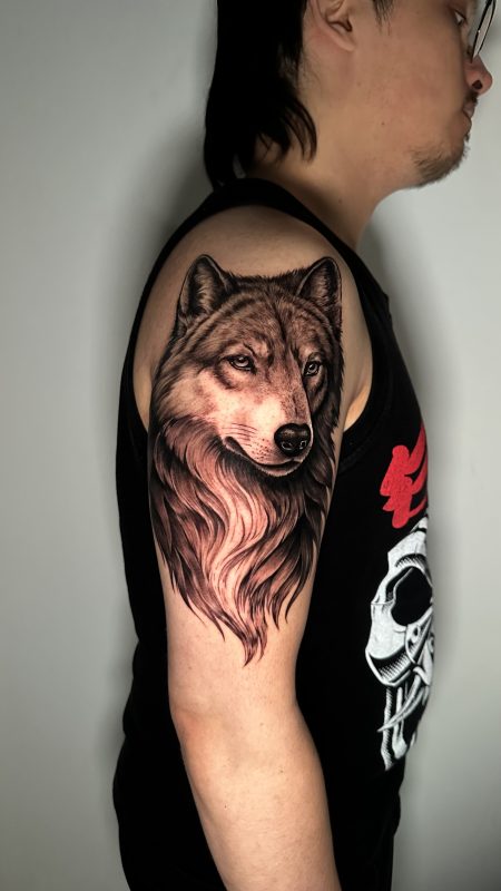 Realistic Wolf