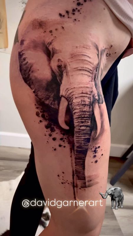 Elephant Portrait