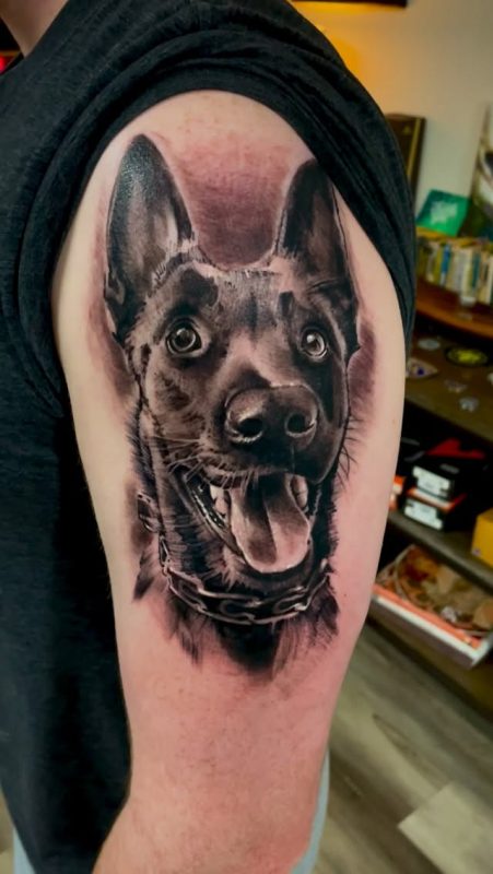 Realistic Dog Portrait