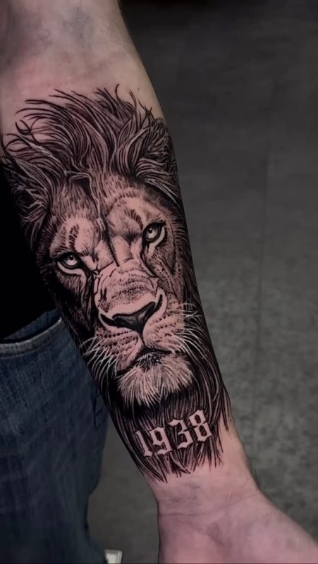 Lion Portrait