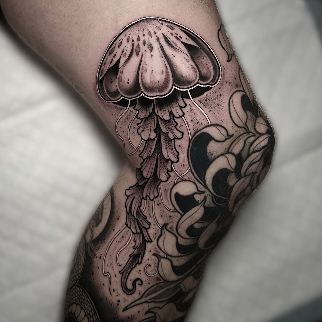 Jellyfish Knee
