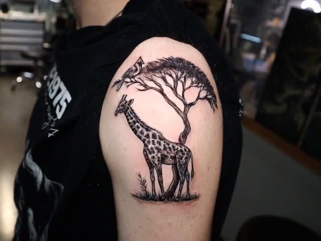 Giraffe and Tree