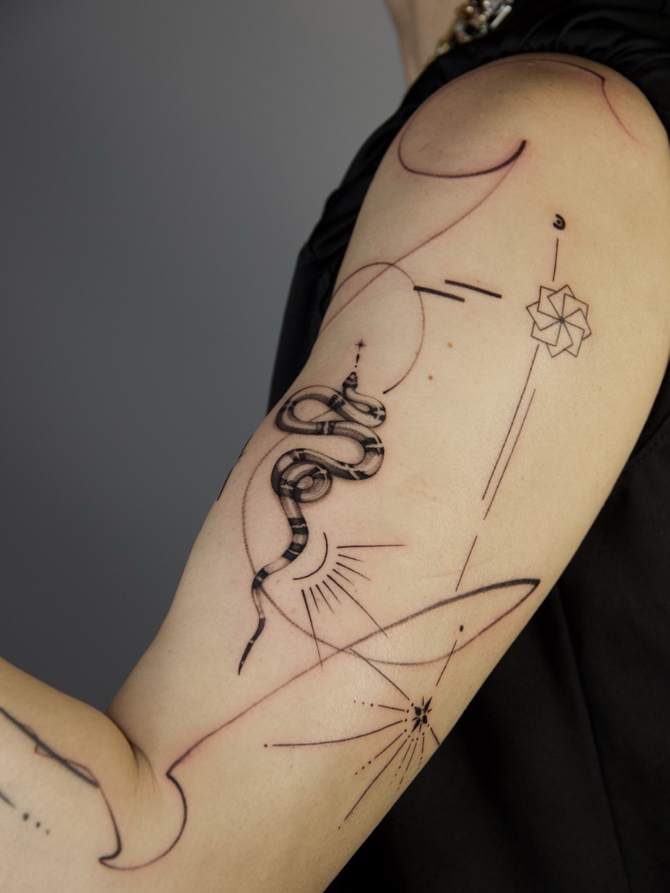 Abstract Snake Lines