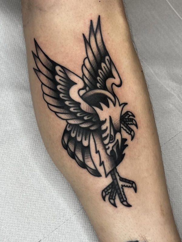 Bold Eagle