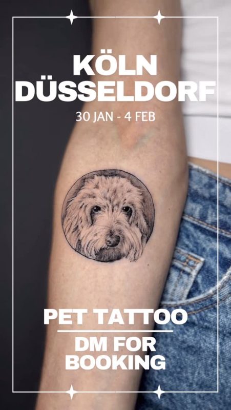 Dog Portrait