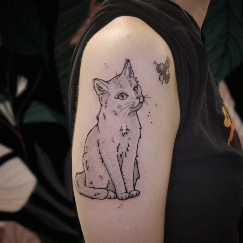 Cat and Bee