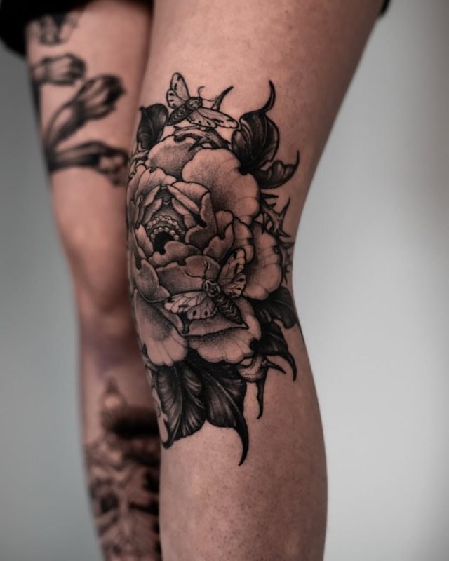 Floral Moth Knee