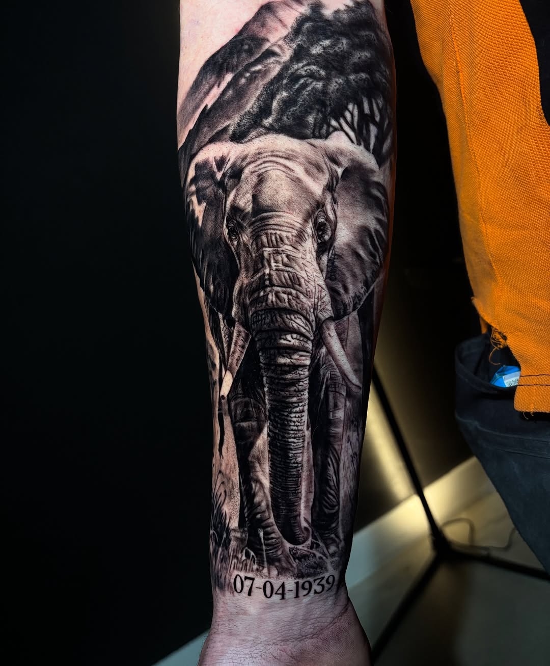 Elephant Portrait