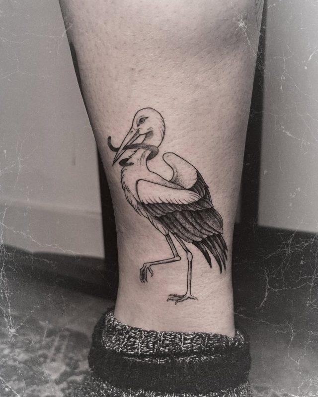 Heron with Snake