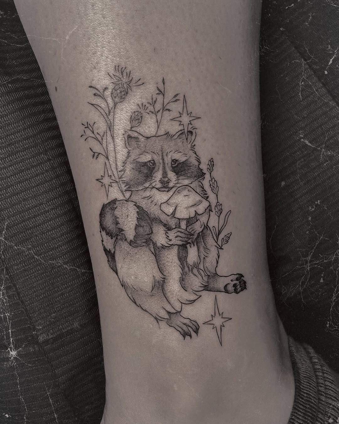 Raccoon with Mushroom