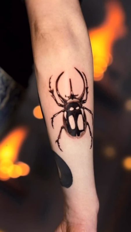 Black Spider