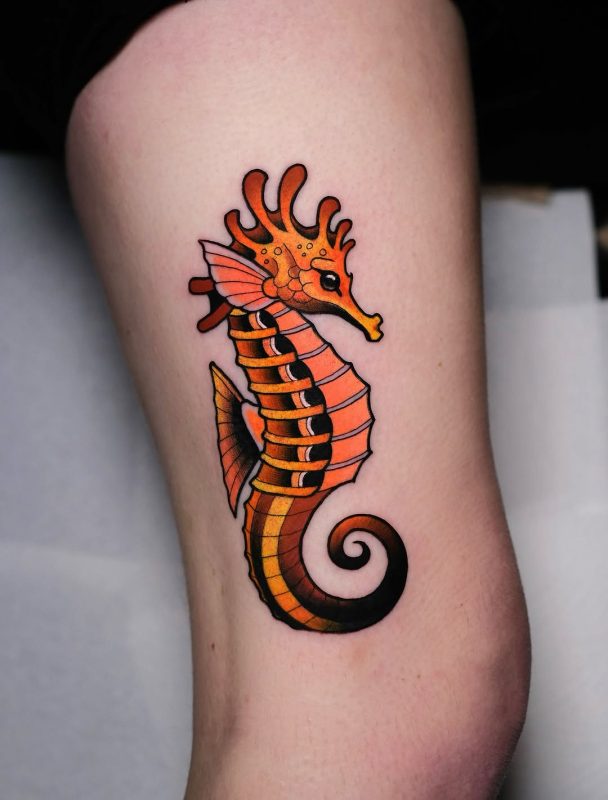 Orange Seahorse