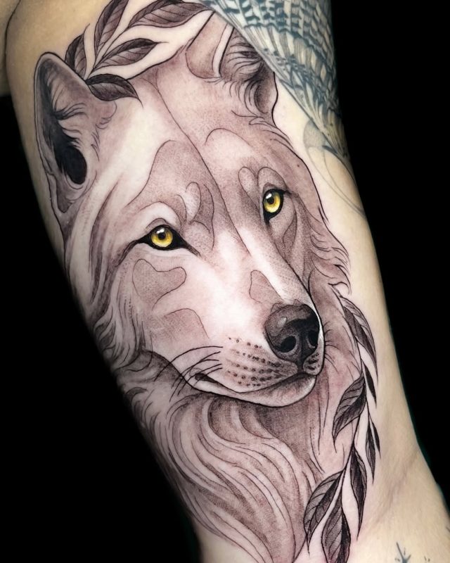 Wolf Portrait