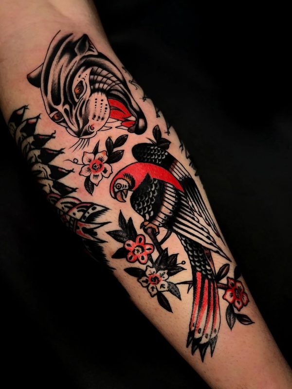 Tiger and Parrot