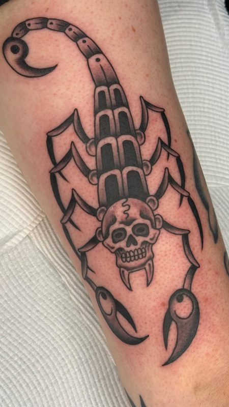 Skull Scorpion