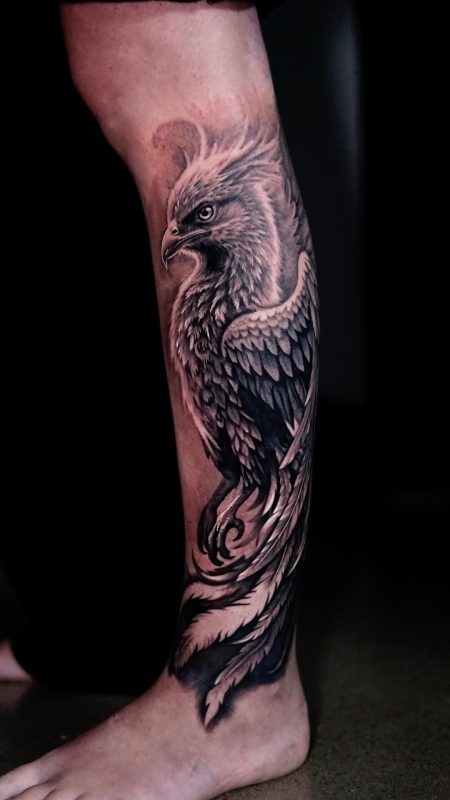 Black Gray Eagle