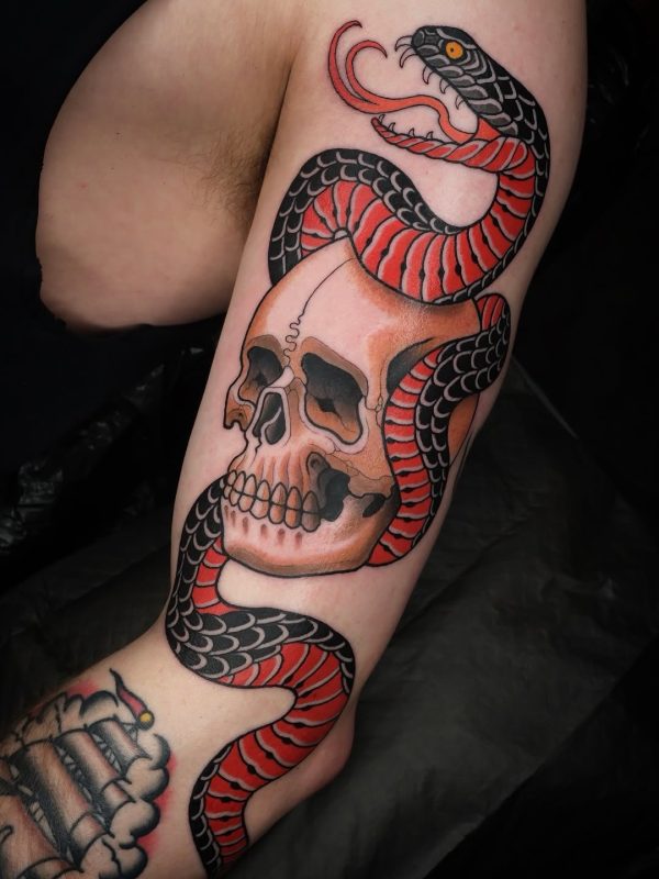 Snake Skull