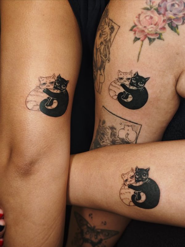 Hugging Cats