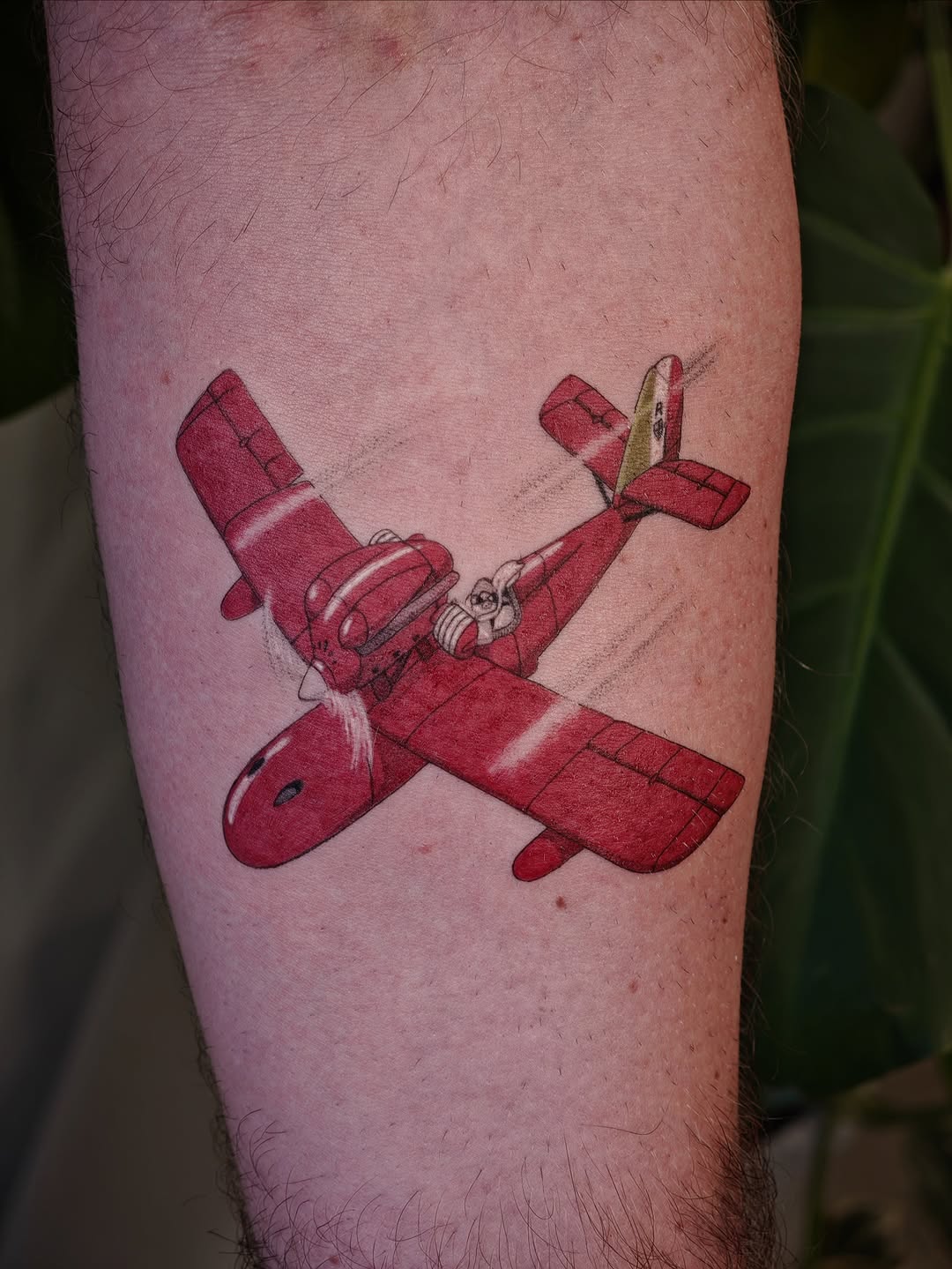 Red Plane