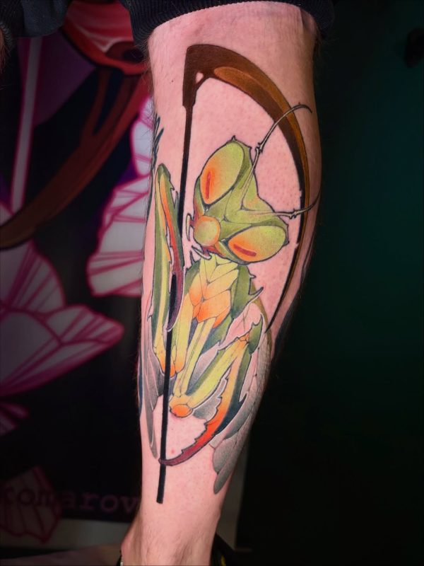 Colorful Mantis