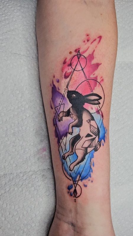 Geometric Rabbit