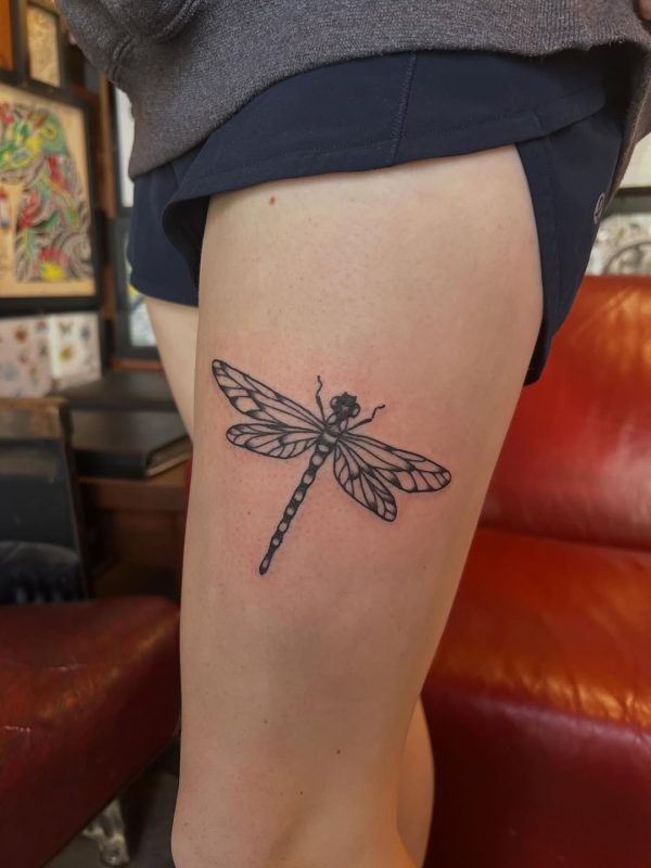 Dragonfly Outline