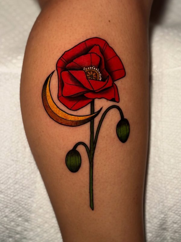 Red Poppy