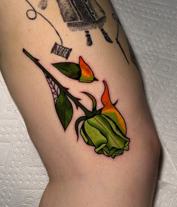 Burning Rose