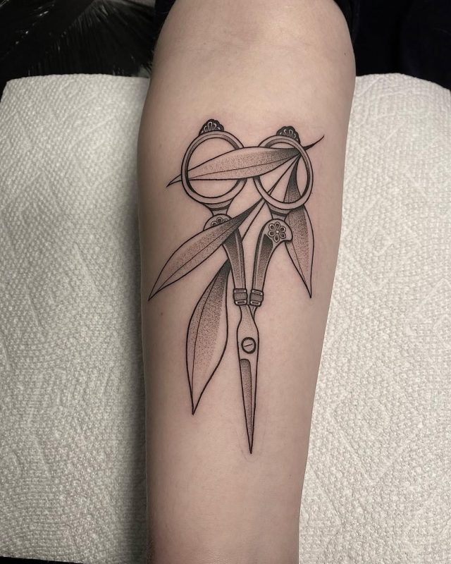 Scissors and Leaves