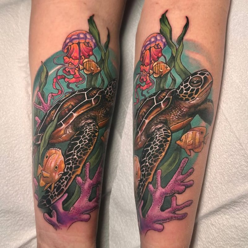 Sea Turtle Scene