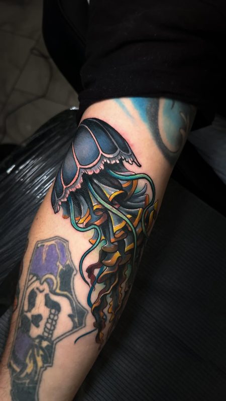 Colorful Jellyfish