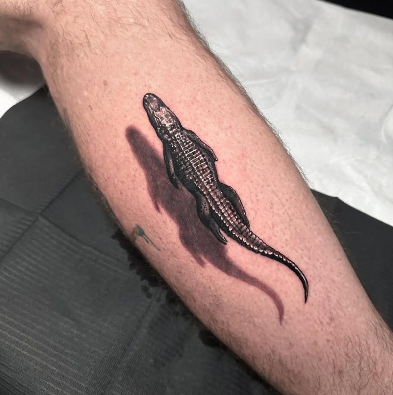 Alligator Shadow