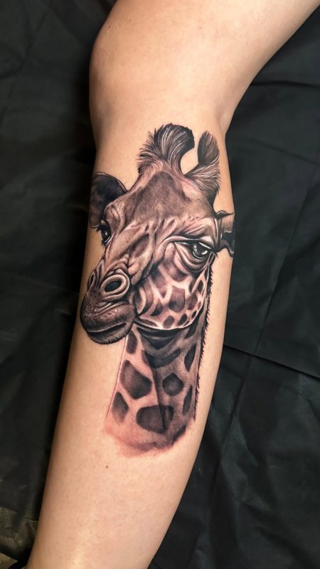 Realistic Giraffe