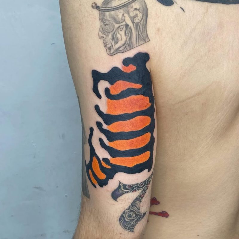 Abstract Rib Cage