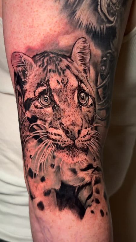 Realistic Cheetah