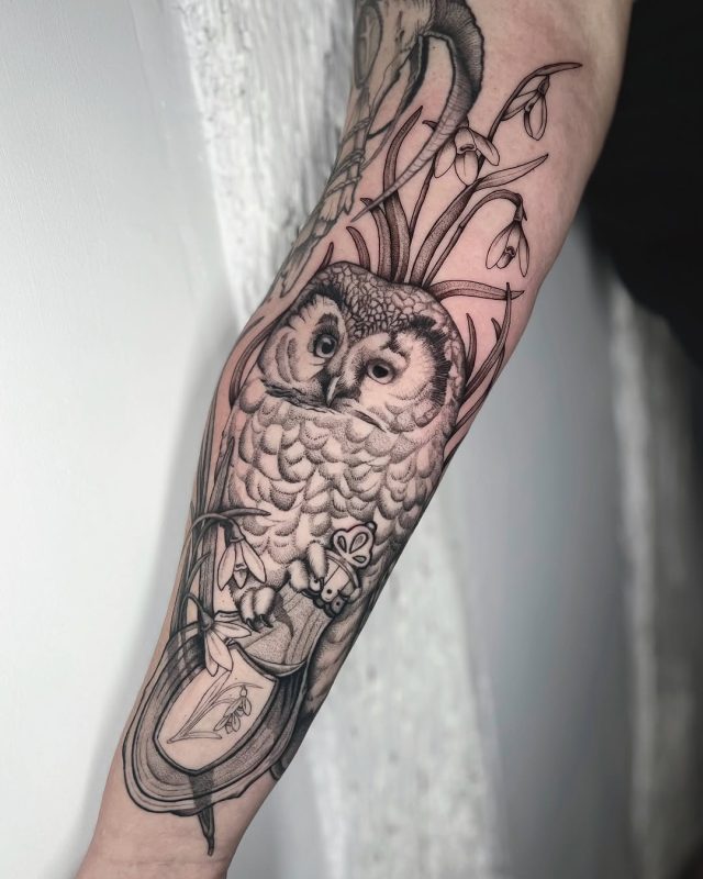 Owl and Bottle