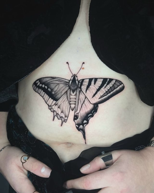 Black Gray Butterfly