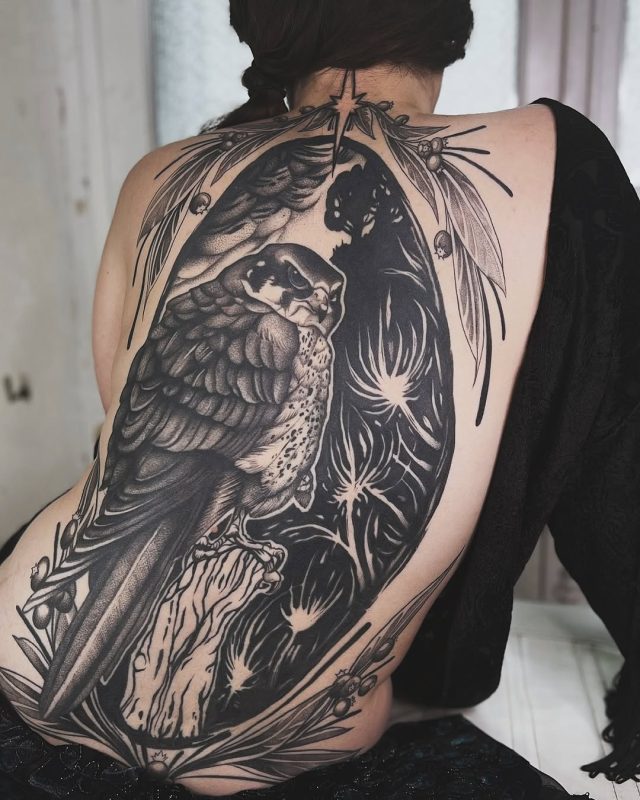 Owl Night Scene
