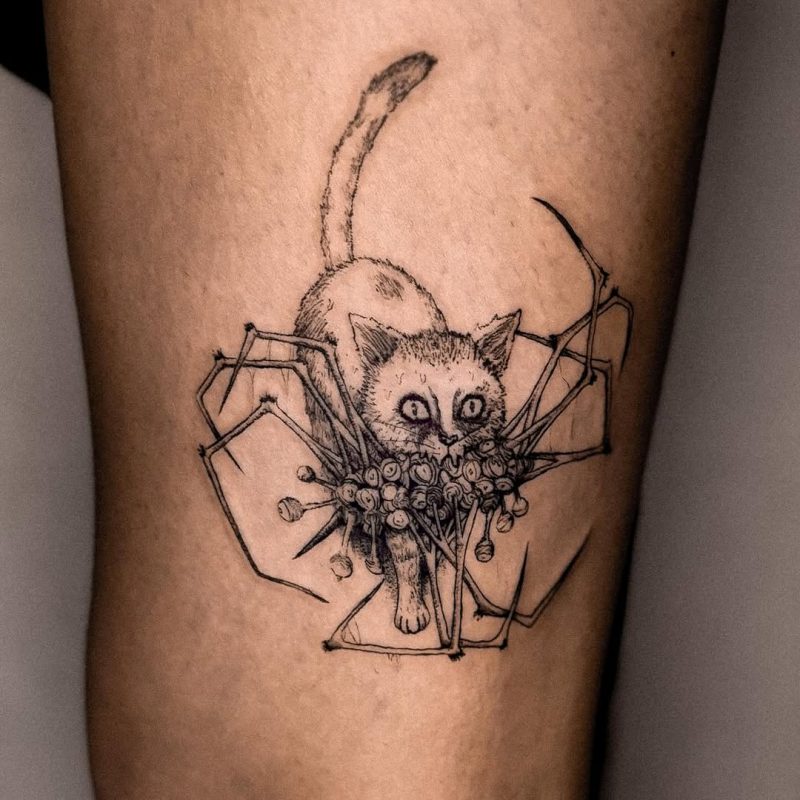 Cat Spider