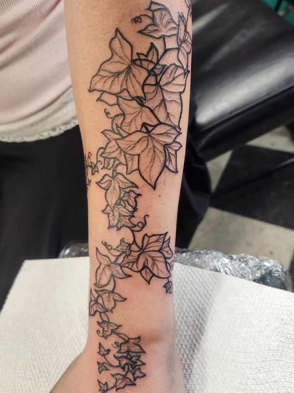 Ivy Vine