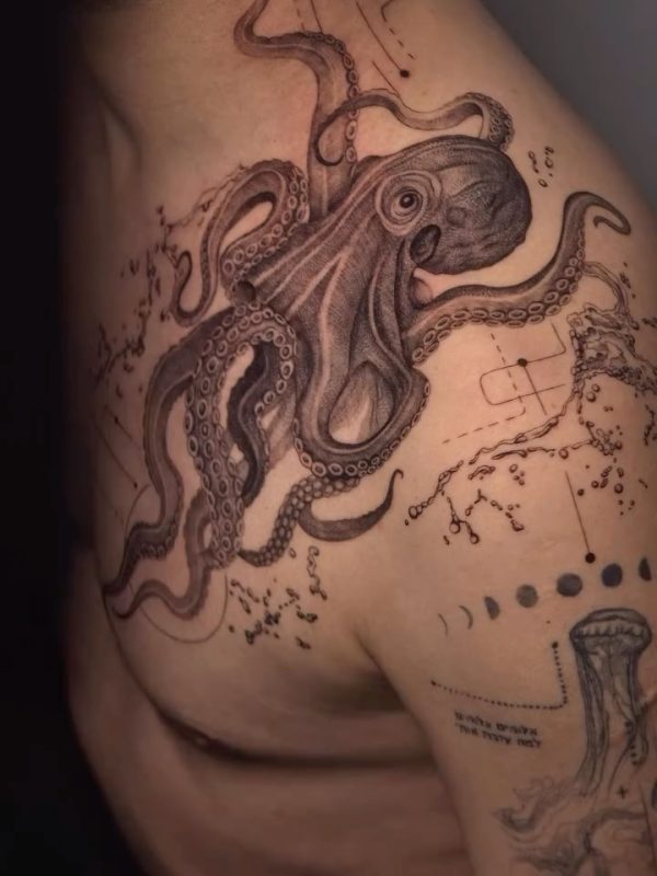 Octopus Illustration