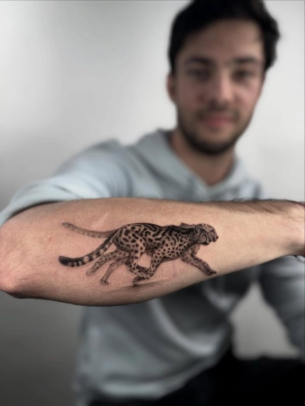 Running Cheetah