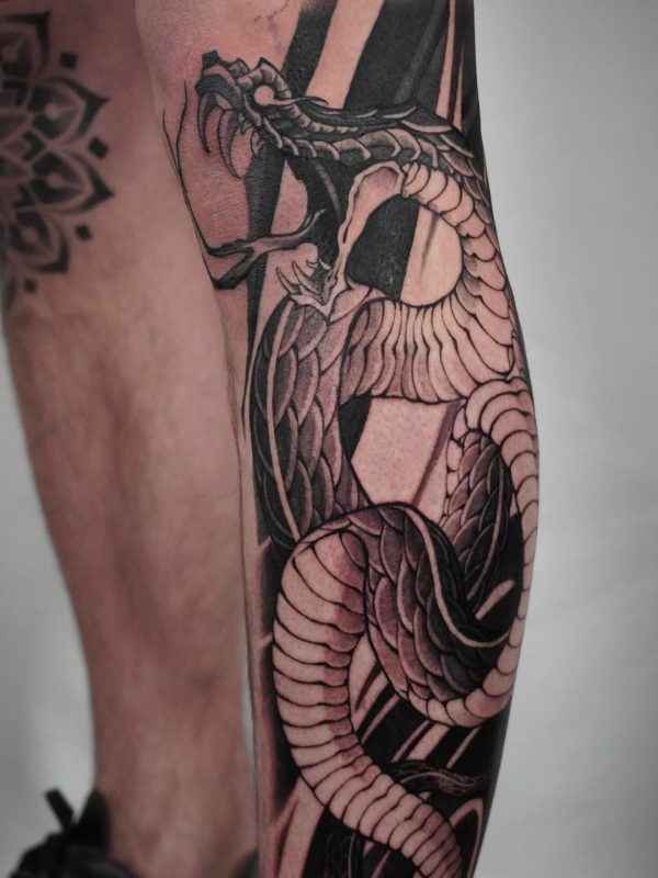 Black Gray Dragon